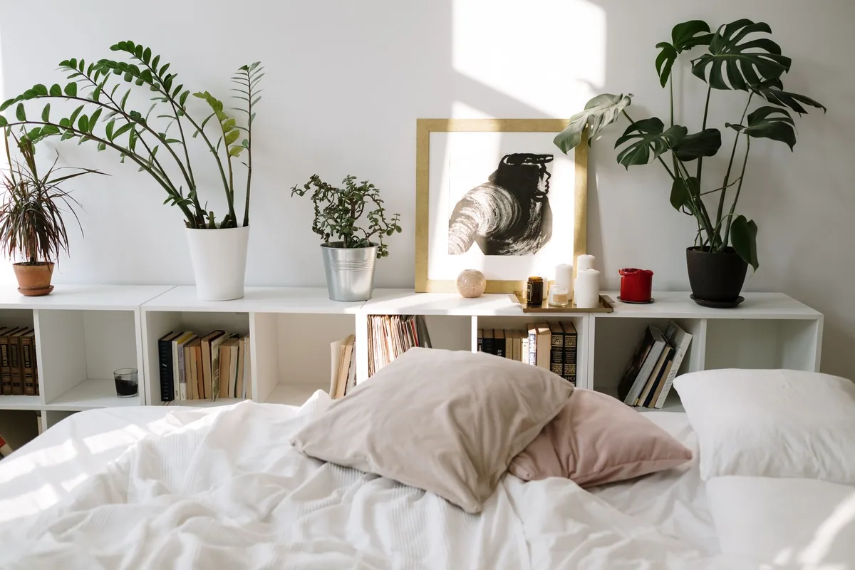Les garnissages : avantages et limites de chaque type