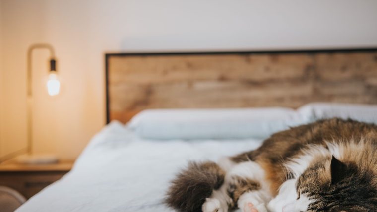 Musique pour dormir : le bon tempo, les vraies limites