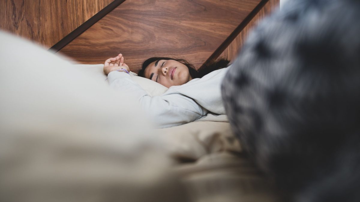 Sommeil et système immunitaire : dormir pour mieux se défendre