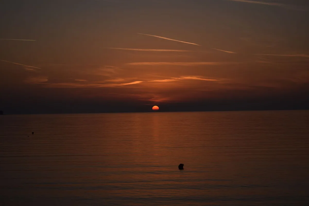 Le rôle du cortisol et de l'éveil nocturne