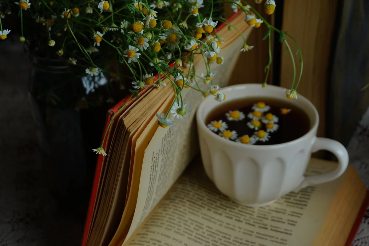 Effet placebo et rituel : pourquoi la tisane « marche » quand même